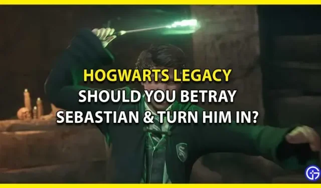 Sollten Sie Sebastian in Hogwarts Legacy verwandeln – was passiert, wenn Sie ihn verraten?