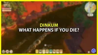 What happens if you die in Dinkum?