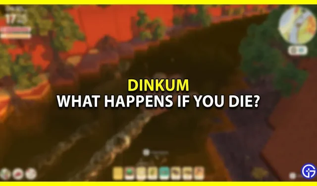 Que se passe-t-il si vous mourez à Dinkum ?