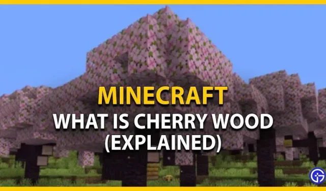 Minecraft: Mikä on kirsikkapuu? (selitys)