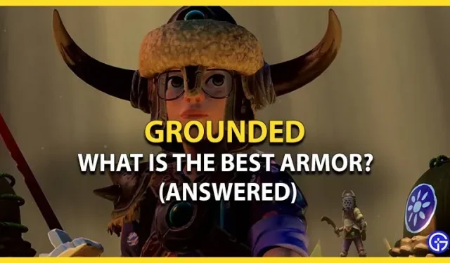 Grounded: Was ist die beste Rüstung (Antwort)