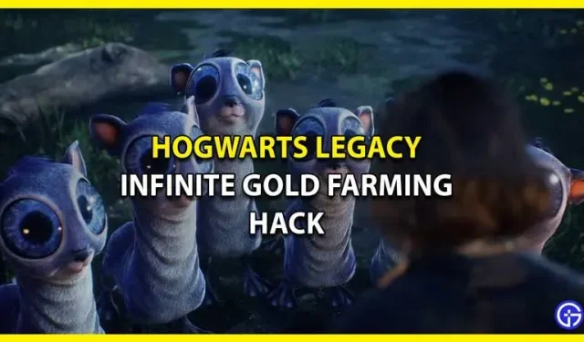 Hogwarts Legacy Gold Hack – Obegränsad och oändlig guldgruvguide