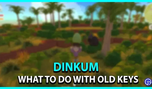 Dinkum : Que faire des vieilles clés ?