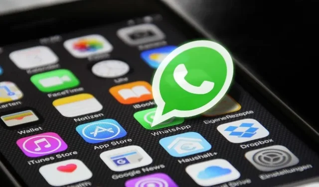 Partage de localisation en direct sur WhatsApp : comment envoyer une localisation en direct à vos contacts WhatsApp