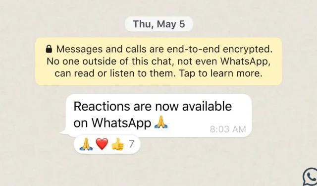 WhatsApp Reactions ist jetzt für iPhone- und Android-Benutzer verfügbar