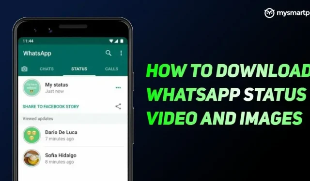 Whatsapp Status -videon lataus: Kuinka ladata Whatsapp Status -kuvia ja -videoita verkosta