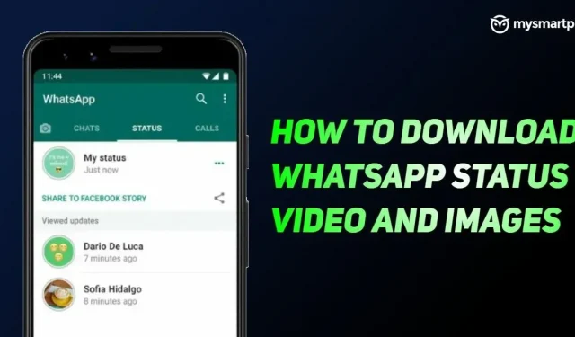 Whatsapi oleku video allalaadimine: kuidas Whatsapi oleku pilte ja videoid veebist alla laadida