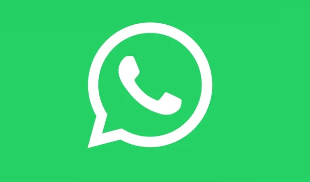 Hoe u kunt voorkomen dat WhatsApp-media automatisch worden gedownload om de batterij en het geheugen van de iPhone te sparen