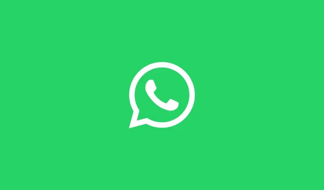 Liens d’appel WhatsApp et appels vidéo cryptés pour 32 personnes déjà déployées