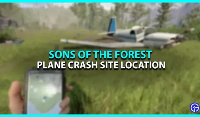Kur atrodas aviokatastrofas vieta Meža dēlos?