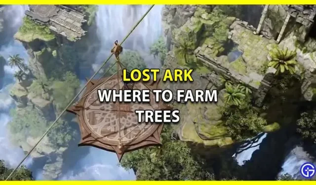 Lost Ark: dónde cultivar árboles