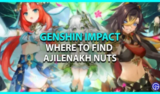 Genshin Impact: Wo man Ajilenah-Nüsse findet