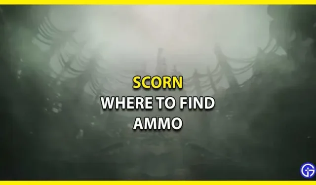 Where can I find ammo in Scorn?