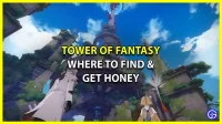 Tower of Fantasy: where to find honey and how to get it
