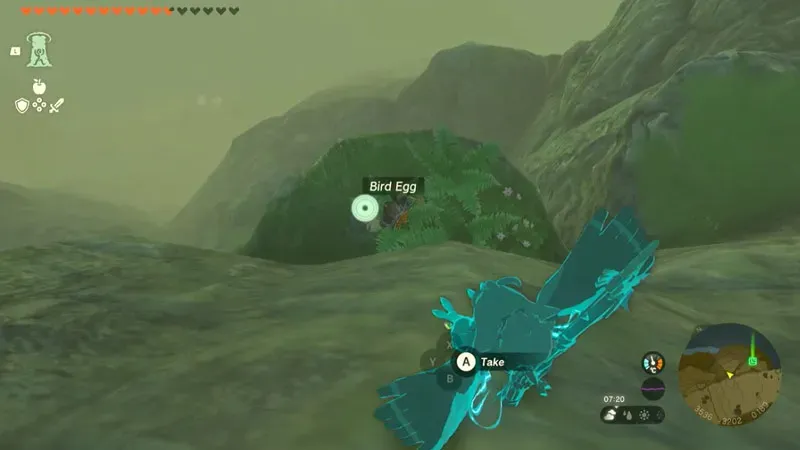 Локація пташиних яєць у Zelda TOTK