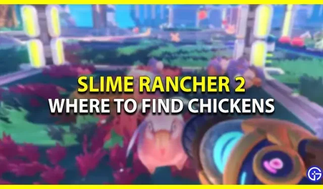 Slime Rancher 2: 닭을 찾을 수 있는 곳