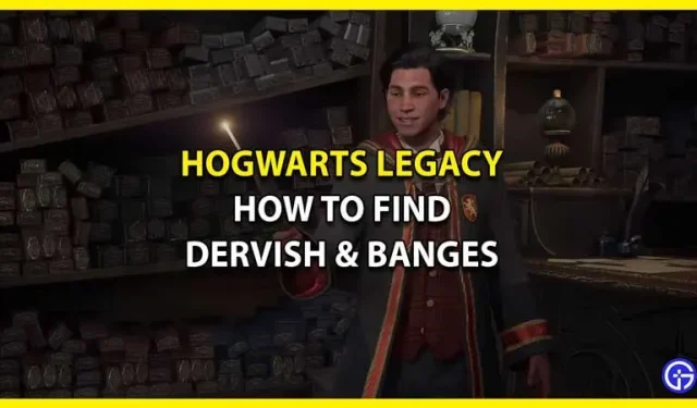 Hoe vind je een derwisj, pony en andere items in Hogwarts Legacy
