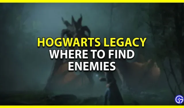 So finden Sie Feinde in Hogwarts Legacy (Standorte)