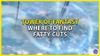 Tower of Fantasy: where to find greasy chunks?
