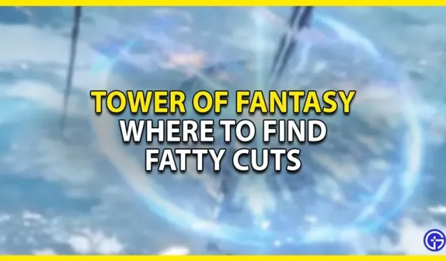 Tower of Fantasy: Wo findet man fettige Brocken?
