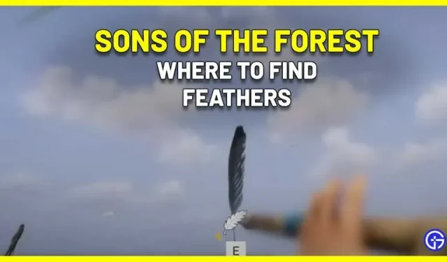 森林之子中羽毛的獲取和使用方法