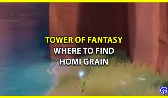 Tower Of Fantasy All Homi Grain Standort