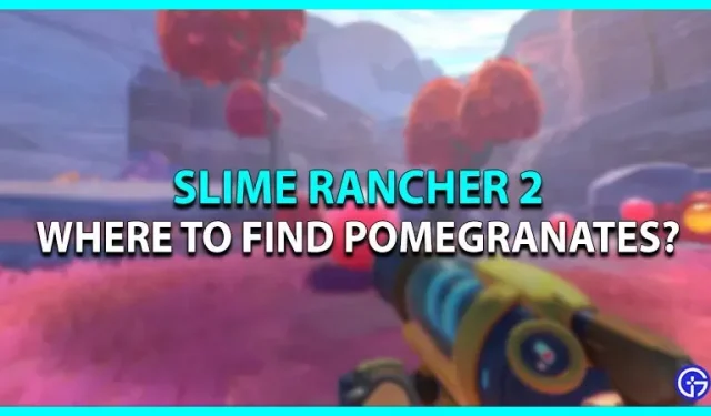 Slime Rancher 2: Waar vind je granaten?