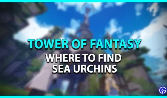 Tower of Fantasy: waar vind je zee-egels (locatie)