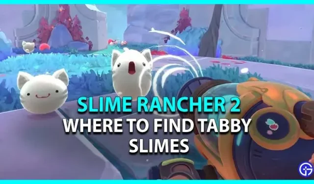 Slime Rancher 2: dónde encontrar limos rayados