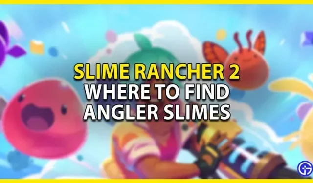 Slime Rancher 2 : Où trouver des slimes de pêcheur ?