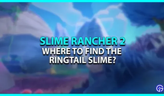 Slime Rancher 2: kust leida ringsaba lima?