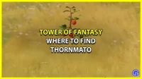 Tower of Fantasy All Tornmato Location