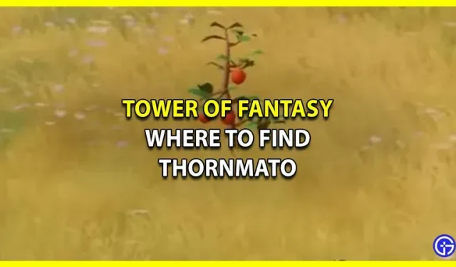 Localização da Torre da Fantasia em Tornmato