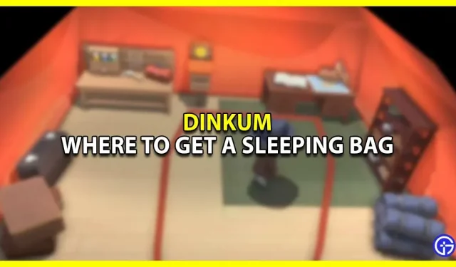 Onde posso conseguir um saco de dormir em Dinkum?