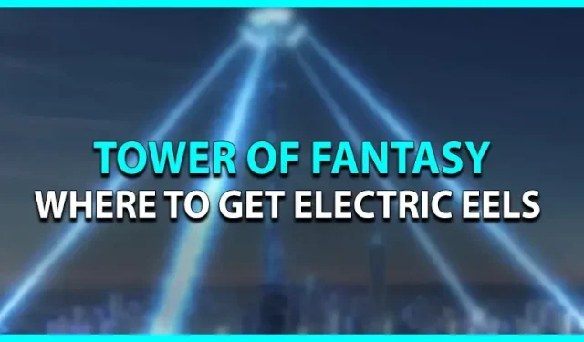 Tower Of Fantasy: skąd wziąć węgorze elektryczne (lokalizacja)