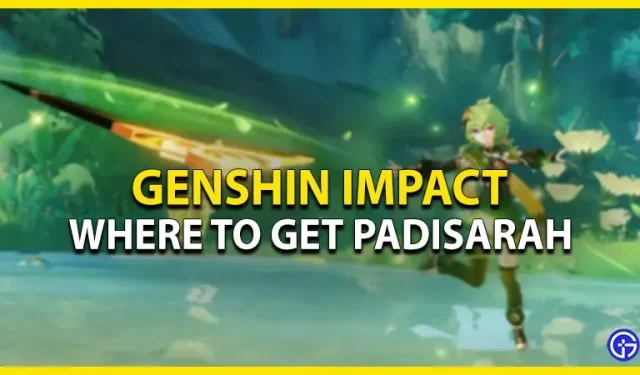 Wo man Genshin Impact Padisarah bekommt