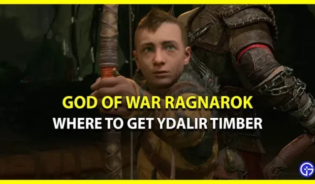 Kde získat dřevo Idalir v GoW Ragnarok