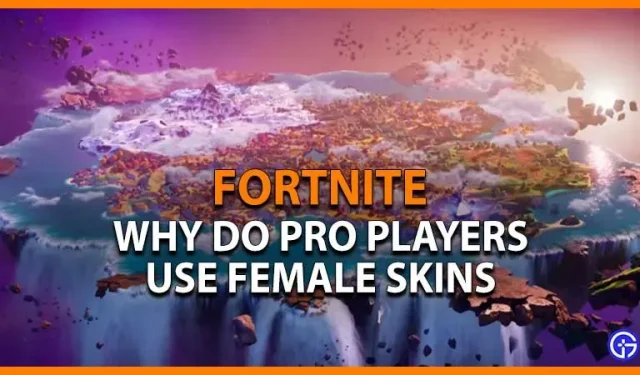 Waarom gebruiken Fortnite Pro-spelers vrouwelijke skins? (uitleg)
