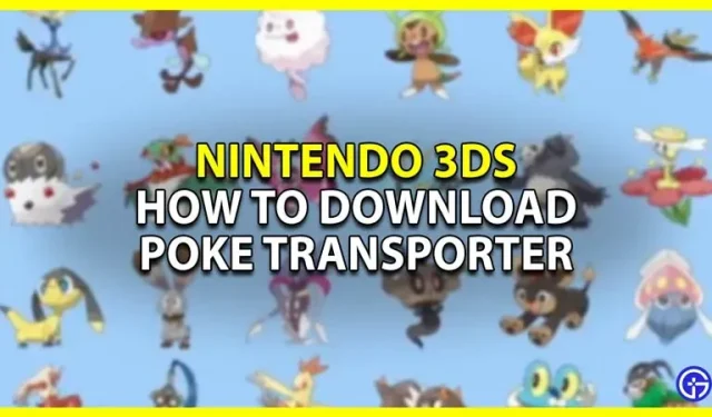 Warum sollten Sie Poke Transporter so schnell wie möglich auf Ihren 3DS herunterladen?