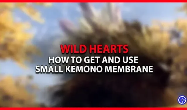 How to get and use the small Kemono Membrane in Wild Hearts