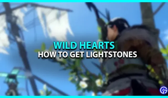 Localisation des Lightstone Wild Hearts : où les trouver ?
