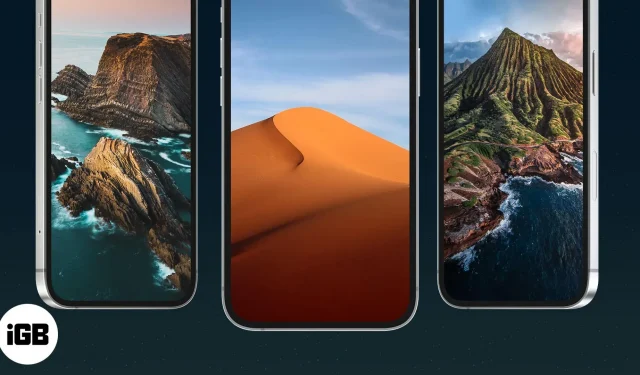 15 достойных пейзажных обоев для iPhone в 2022 году