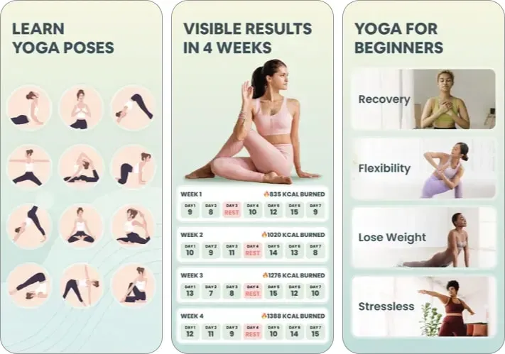 初學者瑜伽 |  心靈+身體