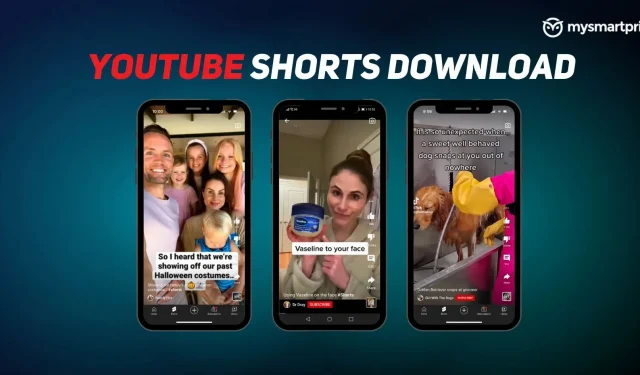 YouTube 짧은 동영상을 온라인으로 다운로드하고 전화 갤러리에 저장하는 방법