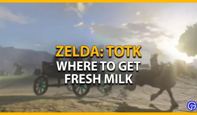 Verse melk kopen in Zelda: Tears of the Kingdom
