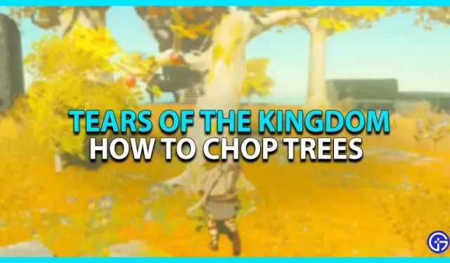 Zelda Tears of the Kingdom: Cómo cortar árboles
