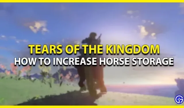 Kuinka lisätä hevosten varastointia Zeldan kuningaskunnassa: Ajan kyyneleet