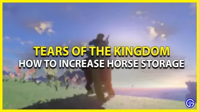 How To Increase Horse Storage In The Kingdom Of Zelda: Tears Of Time