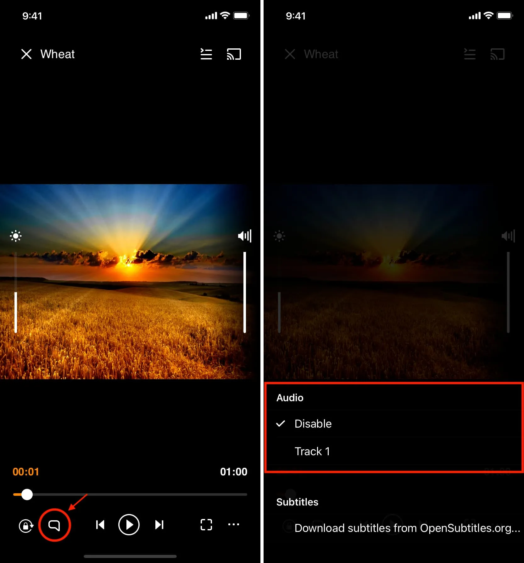 Audio track option in VLC app on iPhone Audio track option in VLC app on iPhone