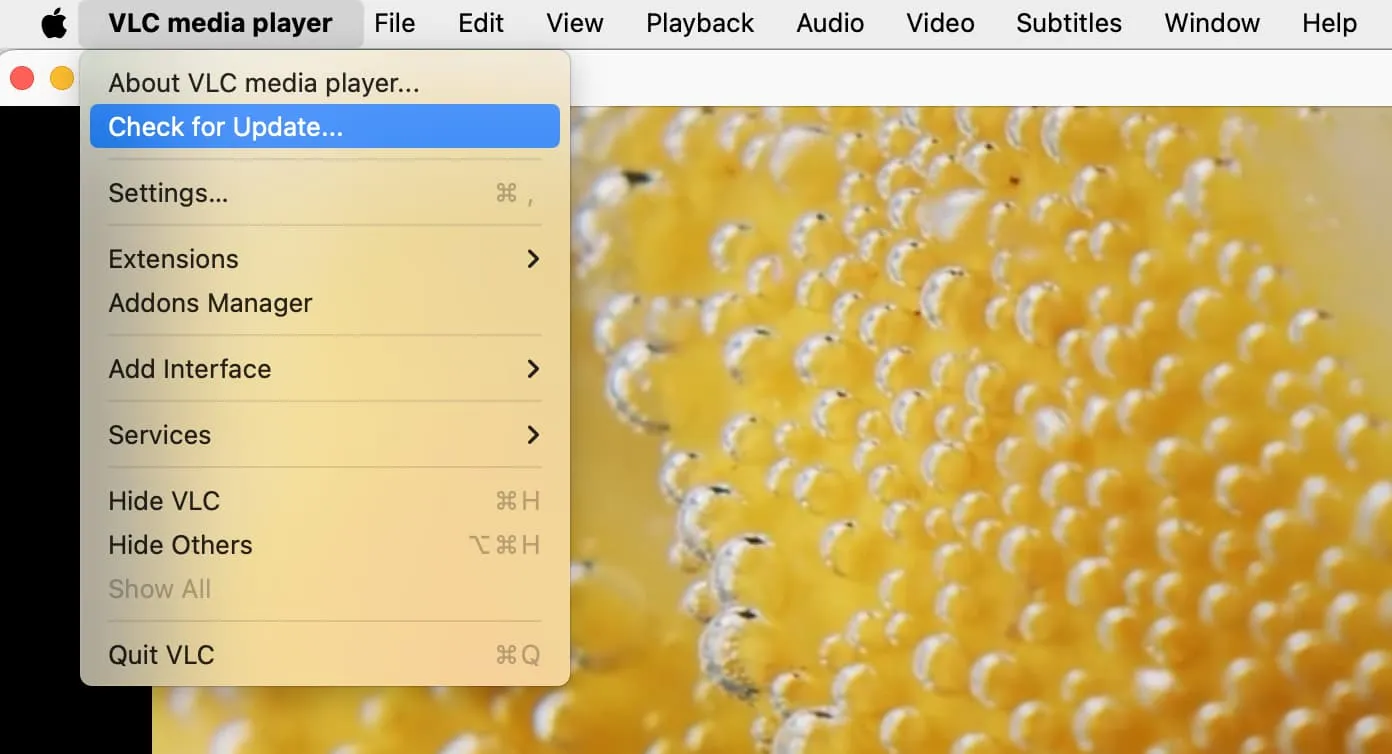 Check for VLC Update on Mac Check for VLC Update on Mac